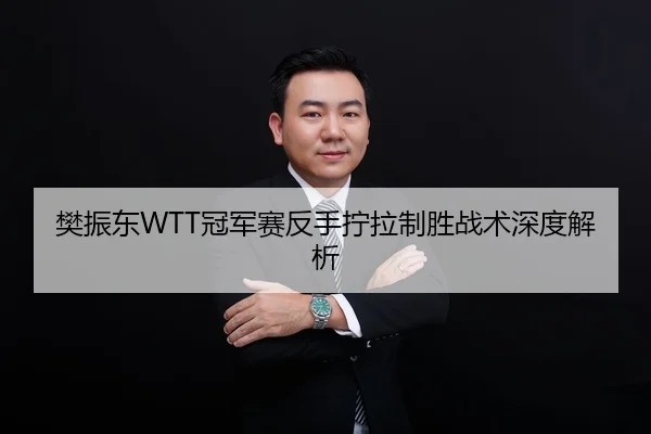 樊振东WTT冠军赛反手拧拉制胜战术深度解析
